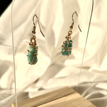 Load image into Gallery viewer, Amazonite Gold Earrings
